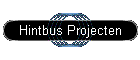 Hintbus Projecten