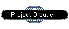 Project Breugem